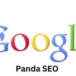 Google panda SEO