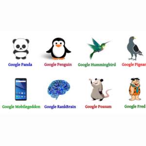 Types of Google Algorithms