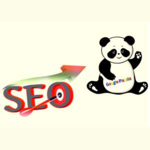 Google Panda SEO Work