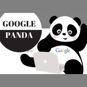 Site Affects the Panda Algorithms