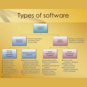 Types of Software