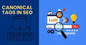 Canonical Tags in Seo