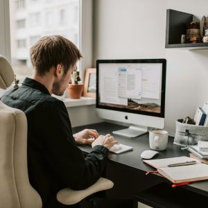 SEO Expert